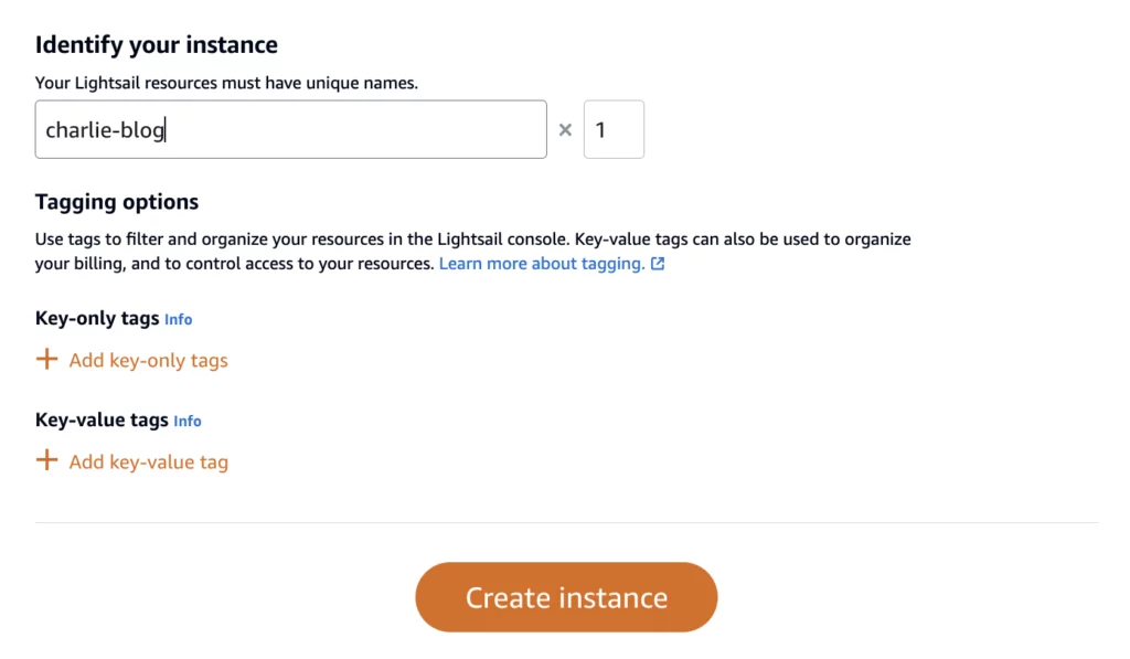 identify instance